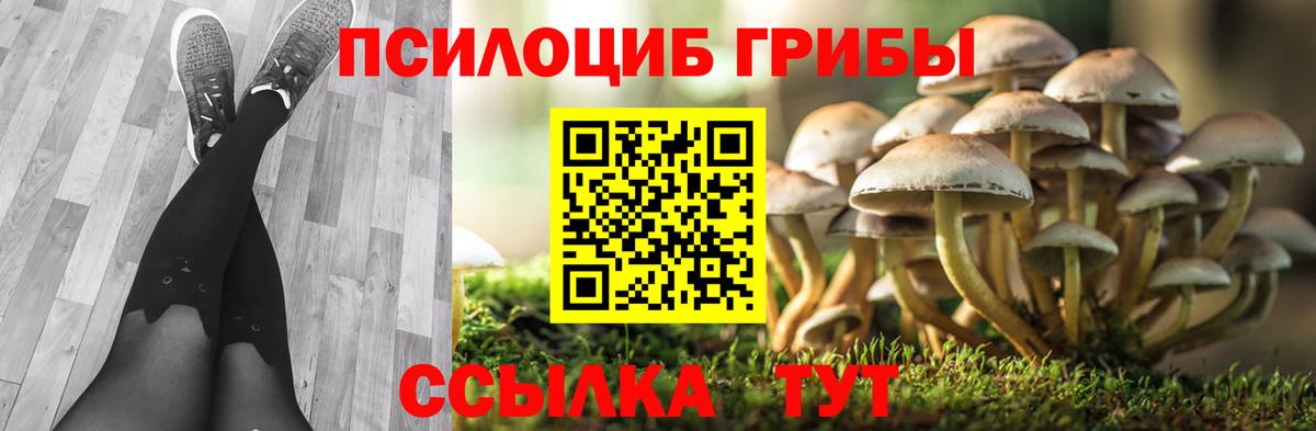 Псилоцибиновые грибы Magic Shrooms Карталы